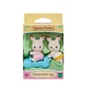 Image de LES BEBES ET LES JUMEAUX Les jumeaux Lapin Chocolat