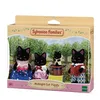 Image de LES FAMILLES La famille Chat Magicien