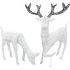 Image de Cerf & Biche Led DÃ©coration IntÃ©rieur ExtÃ©rieur Jardin