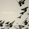 Image de Venetian Snares - Rossz Csillag Alatt Szuletett [Vinyl Lp]