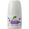 Image de Déodorants Dr. Organic  Déodorant Roll-on Lavande P27878849