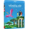 Image de Wonderland, le royaume sans pluie