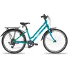 Image de Vélo urbain enfant Frog Bikes City 61 24" (8/10 ans)