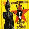 Image de King Of Bongo