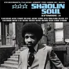 Image de Shaolin Soul 3