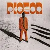 Image de Pigeon - Backslider [Vinyl Lp]