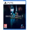 Image de The Bridge Curse 2 : The Extrication PS5