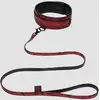 Image de Collier & Laisse Bondage Sweet Anticipation