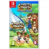 Image de Harvest Moon : The Lost Valley + Skytree Village Switch