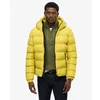 Image de Doudounes Superdry  Veste matelassée à capuche pour le sport P30858663