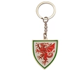 Image de Porte clé Fa Wales  TA10144 P31415286