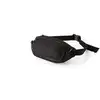 Image de Sacoche GREGORY NANO WAISTPACK (OPTIC BLACK)