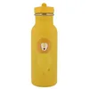 Image de Gourde Mr Lion 500 Ml - Trixie