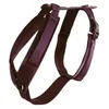 Image de Harnais Pour Chien Actif Kentucky Velvet