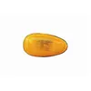 Image de RÃ©pÃ©titeur LatÃ©ral Couleur Orange Pour Daewoo-Chevrolet Lanos