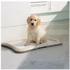 Image de Plateau D'entraÃ®nement Pour Chiots Pour Uriner Ã L'extÃ©rieur