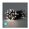 Image de Led DÃ©corative Smartlife  Corde  Wi-Fi  Blanc Chaud Ã Frais  50 Led's  5.00 M  Android? / Ios