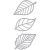 Image de Nature - Dies - Feuilles