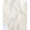 Image de Plumes lisses blanches 3 g