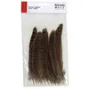 Image de Plumes - Naturelle 1 - 3g