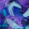 Image de Plumes Tons bleus 10 g