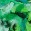Image de Plumes Tons verts 10 g