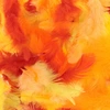 Image de Plumes Tons jaunes 10 g