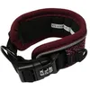 Image de Collier Fashion Pour Chien Duvoplus Ultimate Fit Control Xs