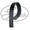 Image de Courroie D'accessoire 6pk1033