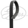 Image de Courroie D'accessoire Micro V 6dpk1195