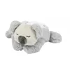 Image de Veilleuse Projecteur Koala Gris - Lapidou