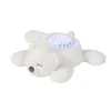 Image de Veilleuse Projecteur Ours
