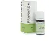 Image de Pranarôm Huiles Essentielles Huile Essentielle d'Ail 5ml