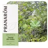 Image de Santal Des Indes - Amyris Balsamifera 10 Ml - PranarÃ´m