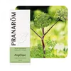Image de AngÃ©lique - Huile Essentielle D'angelica Archangelica 5 Ml - PranarÃ´m