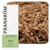 Image de Carvi - Huile Essentielle De Carum Carvi 10 Ml - PranarÃ´m