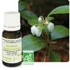 Image de Pranarom Huile Essentielle GaulthÃ©rie CouchÃ©e - 10 Ml