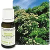 Image de Huile Essentielle Tea Tree 10 Ml