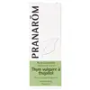 Image de Pranarôm Huile Essentielle de Thym Vulgario au Thujanol 5 ml