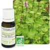 Image de Huile Essentielle Menthe Des Champs Bio 10 Ml