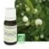 Image de Pranarom Myrte Ã AcÃ©tate De MyrtÃ©nyle Huile Essentielle Bio 10 Ml