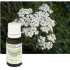 Image de AchillÃ©e Millefeuille - Huile Essentielle D'achillea Millefolium 5 Ml - PranarÃ´m