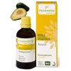 Image de Huile VÃ©gÃ©tale Avocat Bio 50ml