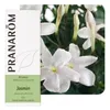 Image de Jasmin (Absolue) - Jasminum Officinalis 5 Ml - PranarÃ´m
