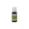 Image de PranarÃ´m Bio Huile Essentielle Eucalyptus RadiÃ© 10 Ml