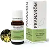 Image de Pranarôm Huiles Essentielles Eucalyptus Menthe 10 ml