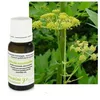 Image de LivÃ¨che (Ache Des Montagnes) - Huile Essentielle Levisticum Officinale 5 Ml - PranarÃ´m