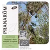 Image de Eucalyptus Ã Cryptone Bio - He D'eucalyptus Polybractea Ct Cryptone 10 Ml - PranarÃ´m