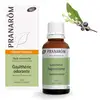Image de Huiles essentielles Pranarôm Huile Essentielle de Gaultherie Odorante Bio 30 ml