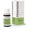 Image de Pranarôm Huiles Essentielles Hélichryse Huile Essentielle Italienne Hélichryse Sommità Fiorita 5ml